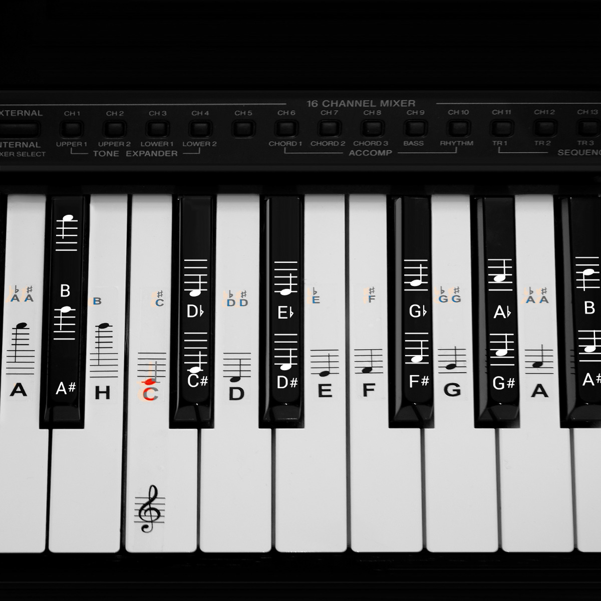 Klavier Keyboard Noten Aufkleber Deutsches Layout 49 61 76 88 Tasten Instrumente Ebay